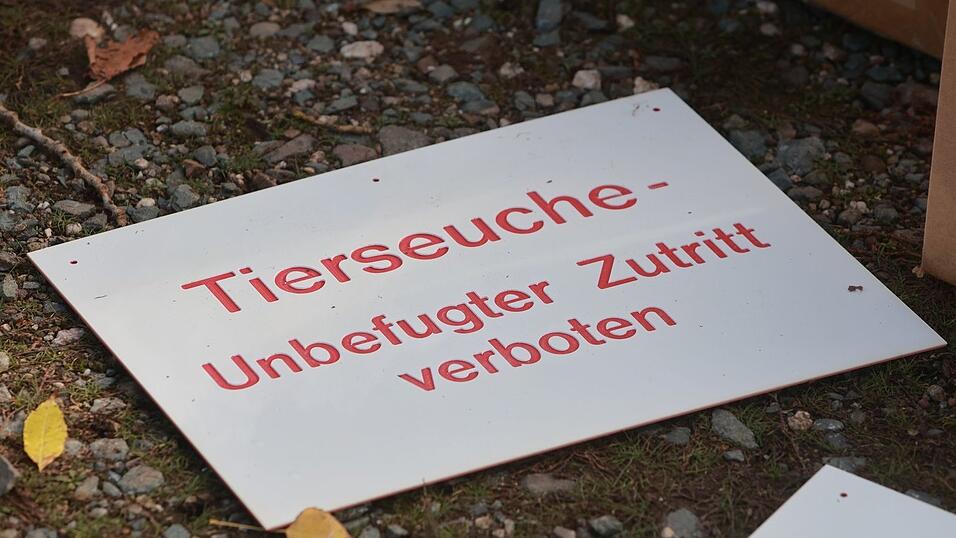 Im Kreis M&uuml;hldorf am Inn musste erneut ein Gefl&uuml;gelbetrieb gesperrt werden, weil dort die Newcastle-Krankheit ausgebrochen ist. (Symbolbild)