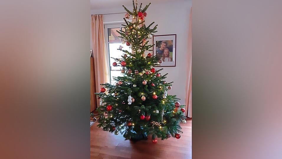 'Unser Weihnachtsbaum': Manuela Benedikt w&uuml;nscht allen Lesern der Landshuter Zeitung frohe Weihnachten.