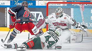 In der dritten Minute war David Elsner (links) nach seiner abgesessenen Strafzeit plötzlich auf und davon, brachte den EV Landshut mit 1:0 in Front und die VR-Bank-Landshut-Arena sprichwörtlich zum Kochen. In der dritten Minute war David Elsner (links) nach seiner abgesessenen Strafzeit plötzlich auf und davon, brachte den EV Landshut mit 1:0 in Front und die VR-Bank-Landshut-Arena sprichwörtlich zum Kochen.