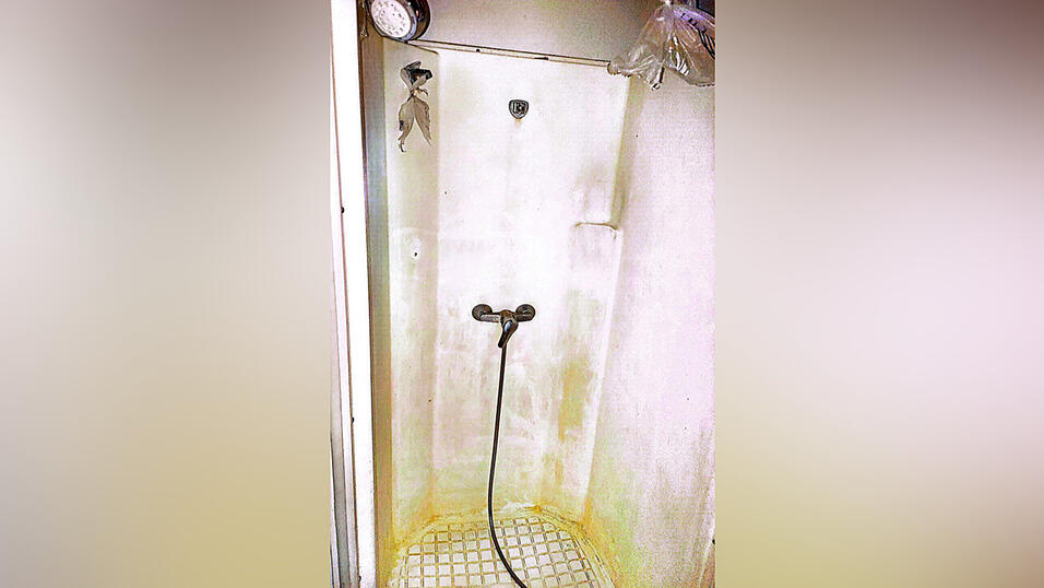 Der Schimmel verbreitet sich. Der Schimmel verbreitet sich.