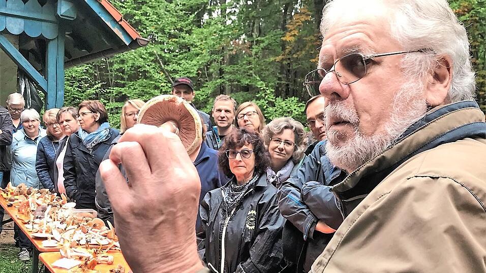 Willibald Bittner zeigt die rosa Lamellen des Champignons.