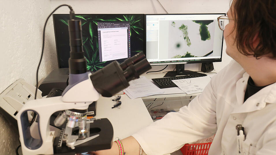 Im Keller der Apotheke wird der Wirkstoff-Gehalt kontrolliert.