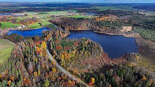 Hier sollte ein neues Schutzgebiet entstehen, das nun gestoppt wurde. Hier sollte ein neues Schutzgebiet entstehen, das nun gestoppt wurde.
