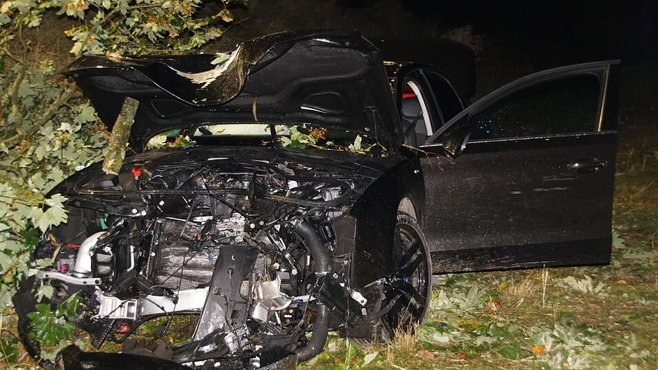 Der Frontbereich des Audi war zerst&ouml;rt. Der Fahrer war einem Wildtier ausgewichen.