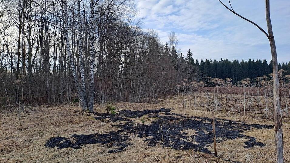 Der ukrainische Abwehrkampf gegen Russland zieht die baltischen Staaten in Mitleidenschaft. Der ukrainische Abwehrkampf gegen Russland zieht die baltischen Staaten in Mitleidenschaft.
