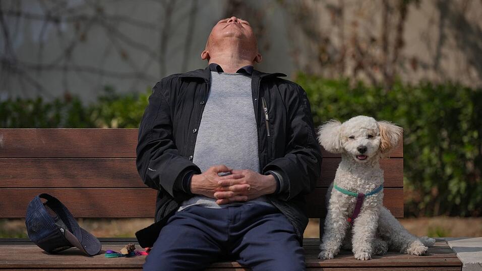 Haustiere werden in China immer beliebter, während die Geburtenrate auf einem Rekordtief steht. (Symbolbild) Haustiere werden in China immer beliebter, während die Geburtenrate auf einem Rekordtief steht. (Symbolbild)