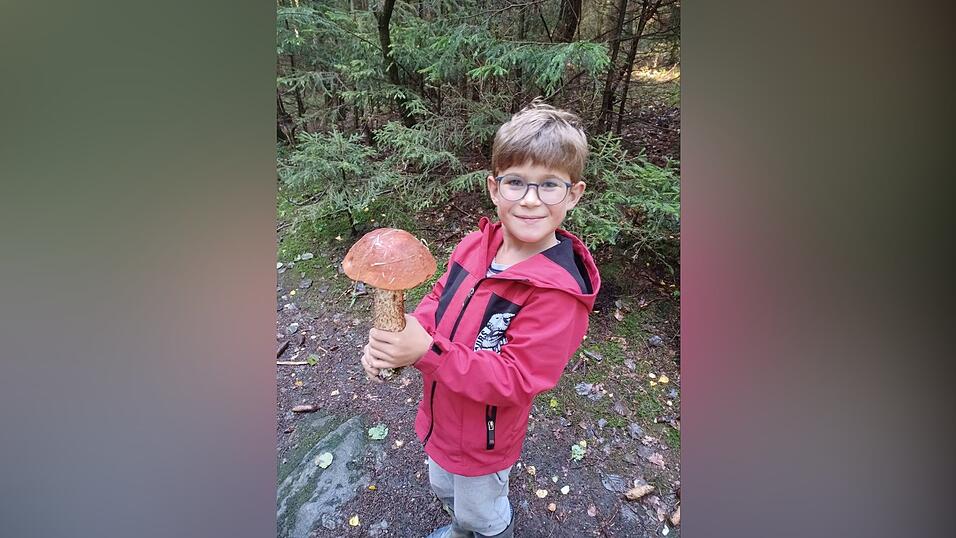 Ein wahres Prachtexemplar einer Rotkappe hat am 20. September Tobias Zankl mit seiner Mutter Martina in der Holzmühle bei Falkenstein gefunden. Ein wahres Prachtexemplar einer Rotkappe hat am 20. September Tobias Zankl mit seiner Mutter Martina in der Holzmühle bei Falkenstein gefunden.