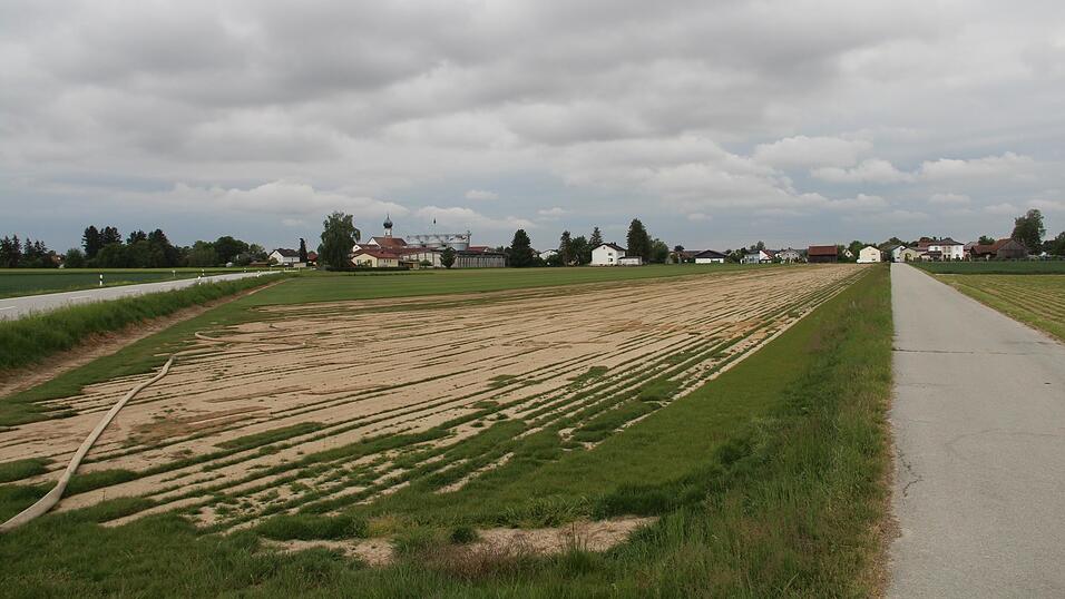 Auf dieser Fl&auml;che im Nordosten Altenbuchs soll das neue d&ouml;rfliche Wohngebiet entstehen. Landwirte bef&uuml;rchten, dass sie dann mit ihren Maschinen nicht mehr durch die Hankhofstra&szlig;e (r.) kommen.