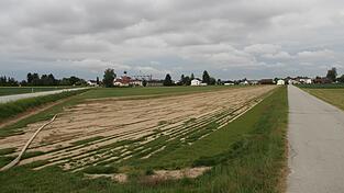 Auf dieser Fläche im Nordosten Altenbuchs soll das neue dörfliche Wohngebiet entstehen. Landwirte befürchten, dass sie dann mit ihren Maschinen nicht mehr durch die Hankhofstraße (r.) kommen. Auf dieser Fläche im Nordosten Altenbuchs soll das neue dörfliche Wohngebiet entstehen. Landwirte befürchten, dass sie dann mit ihren Maschinen nicht mehr durch die Hankhofstraße (r.) kommen.