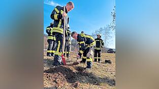 Mit wenigen Schaufeln voll Erde ist das Loch ausgehoben und ein Apfelbaum gepflanzt.