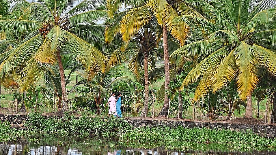 Impression aus Kerala: An den Ufern der Backwaters zieht das s&uuml;dindische Dorfleben vorbei.