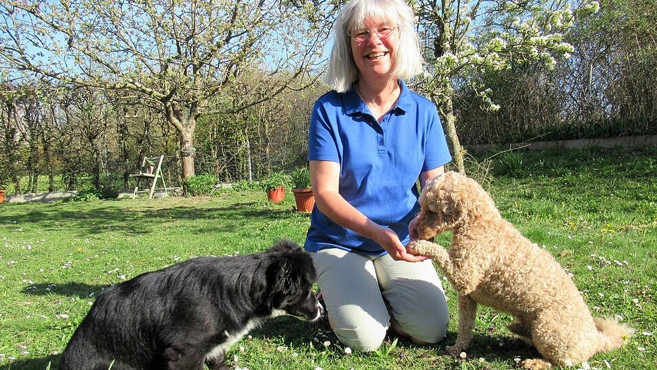 Susanne Kornacher: Hunde brauchen Zeit. Pudel Nelson stammt aus einem illegalen Welpentransport und Mischlings Oskar ist seit Februar aus dem Tierheim Plattling bei den Kornachers eingezogen. Susanne Kornacher: Hunde brauchen Zeit. Pudel Nelson stammt aus einem illegalen Welpentransport und Mischlings Oskar ist seit Februar aus dem Tierheim Plattling bei den Kornachers eingezogen.