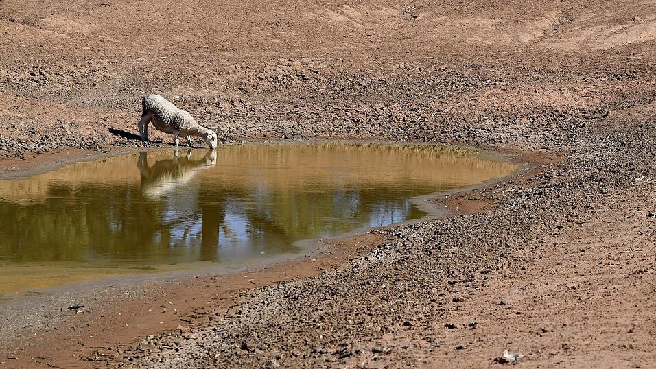 Australien k&auml;mpft bei El Ni&ntilde;os mit verheerenden D&uuml;rren. (Archivbild)