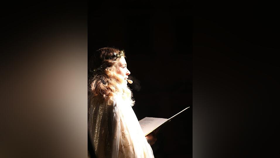 Der Weihnachtsmarkt auf Schloss Sankt Emmeram in Regensburg wurde am Freitag feierlich er&ouml;ffnet.