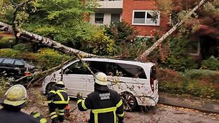 Im Hamburger Stadtteil Ohlsdorf hat 'Ignatz' B&auml;ume entwurzelt. Die Feuerwehr ist im Einsatz.