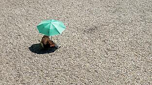 In Deutschland wird es am Wochenende bis zu 36 Grad warm. In Deutschland wird es am Wochenende bis zu 36 Grad warm.