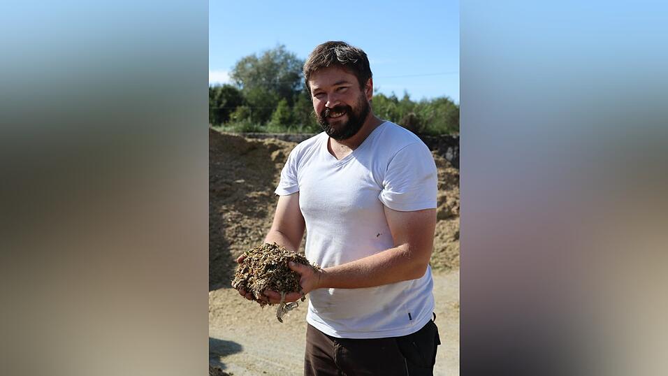 Die Maissilage von Landwirt Sebastian Dickow enthält in diesem Jahr deutlich mehr Körner als in den Vorjahren. Die Maissilage von Landwirt Sebastian Dickow enthält in diesem Jahr deutlich mehr Körner als in den Vorjahren.