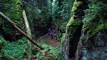 Oregon oder Niederbayern? Einheimische werden ihren Wald sofort erkennen.