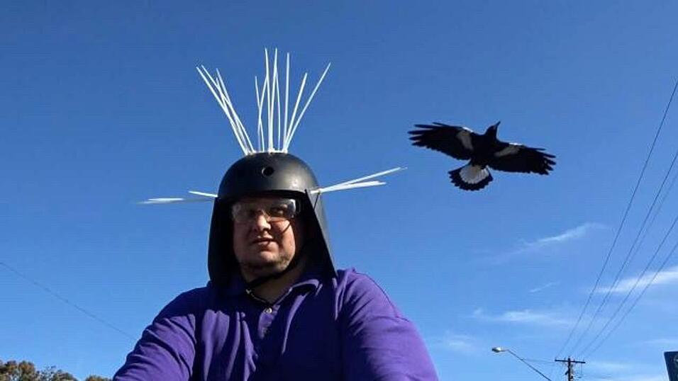Youtuber Daniel Fitzgerald testet seinen Anti-Magpie-Helm.