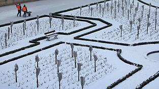 Im Freistaat bleibt es vorerst frostig.