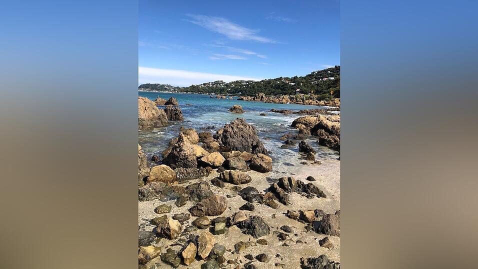 Eindrücke von Alexandras Zeit in Neuseeland.