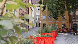 Statt Parkplätzen gibt es in der Obermünsterstraße seit Mitte Mai mobile Bäume. Sie sind Teil der städtischen Sofortmaßnahmen zur Umgestaltung - genauso wie die Warnbake Richtung Obere Bachgasse. Dahinter verbirgt sich ein Poller, der Durchgangsverkehr verhindern soll.