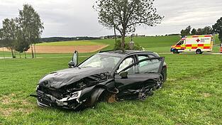 Zeitgleich mit dem wei&szlig;en Audi scherte ein vorausfahrender 31-J&auml;hriger aus Falkenstein zum &Uuml;berholen aus. Beim Zusammensto&szlig; wurden beide Fahrzeuge von der Stra&szlig;e in eine Wiese geschleudert.