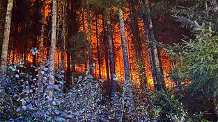 In mehreren Regionen kämpfen Feuerwehrleute gegen Flammen. In mehreren Regionen kämpfen Feuerwehrleute gegen Flammen.