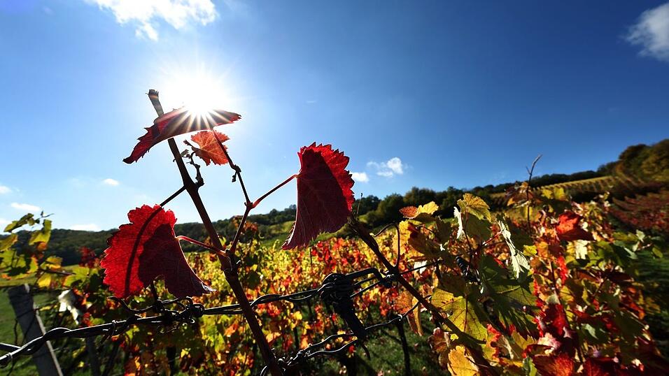 Der Herbst zeigt sich in Bayern vielerorts von seiner freundlichen Seite. Der Herbst zeigt sich in Bayern vielerorts von seiner freundlichen Seite.