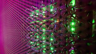 Cloud-Dienste sind bei vielen Unternehmen beliebt (Archivbild) Cloud-Dienste sind bei vielen Unternehmen beliebt (Archivbild)