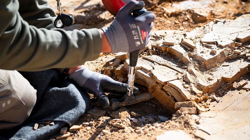 Die Experten suchen nach Fossilien im Plattenkalk. Die Experten suchen nach Fossilien im Plattenkalk.