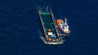 Das Transportschiff mit dem Wal ist seit mehreren Tagen unterwegs.