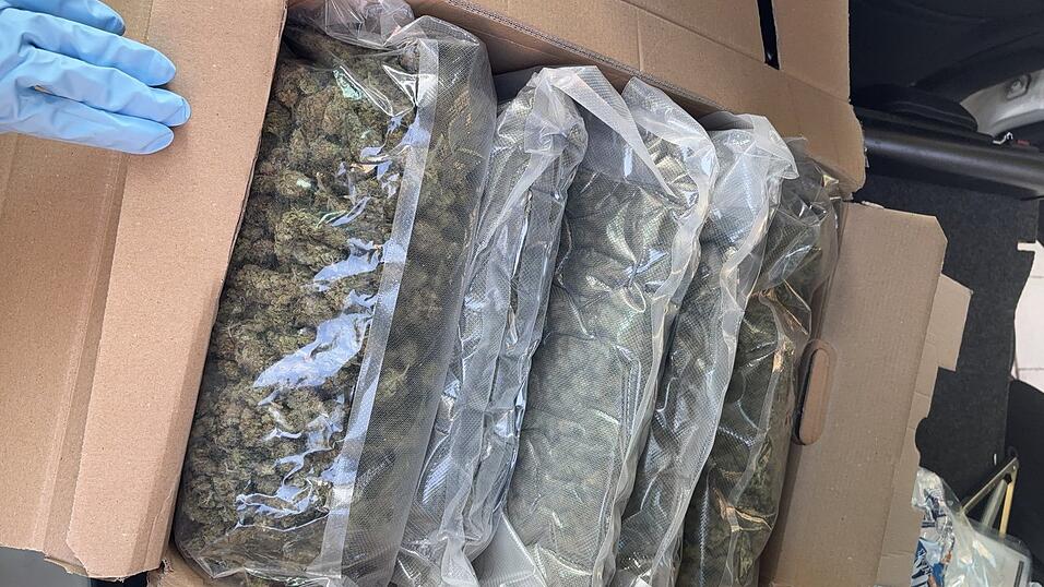 Das sichergestellte Cannabis Das sichergestellte Cannabis