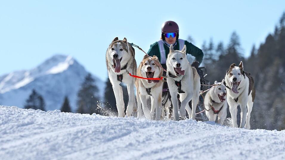 Die Strecke gilt als technisch anspruchsvoll. Die Strecke gilt als technisch anspruchsvoll.