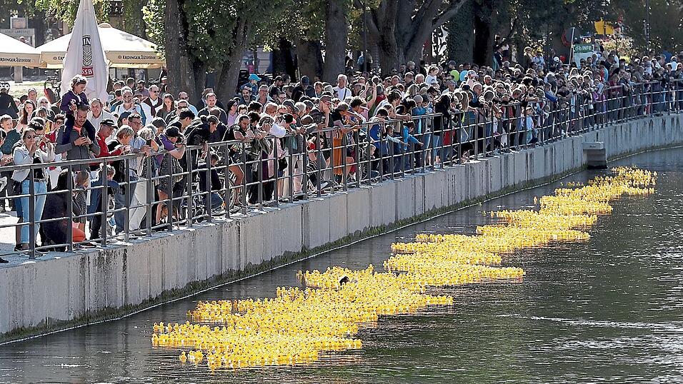 Am Sonntag schwimmen die Enten wieder beim Entenrennen - das ist aber bei Weitem nicht der einzige Programmpunkt am Wochenende.