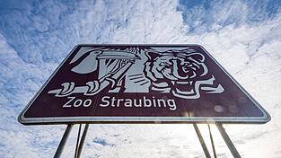 'Zoo Straubing' steht auf einem Hinweisschild an der Autobahn A3. Der Straubinger Stadtrat lehnte am 19. Februar die Erneuerung der Tiergarten-Werbeschilder entlang der A3 ab.