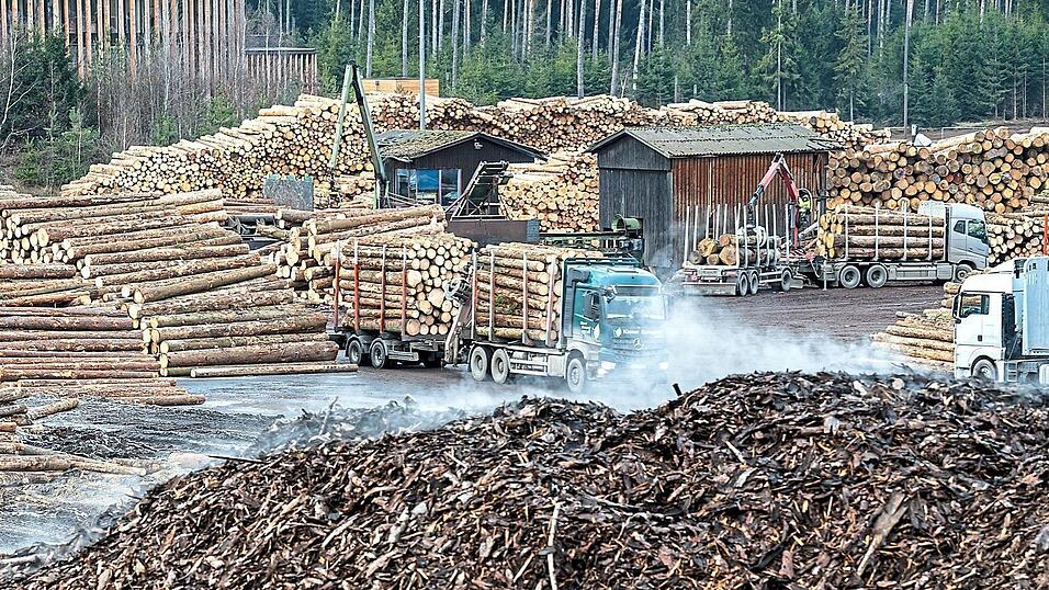 Kerngeschäft von Ziegler ist die Holzproduktion und -verarbeitung für die Bauindustrie.