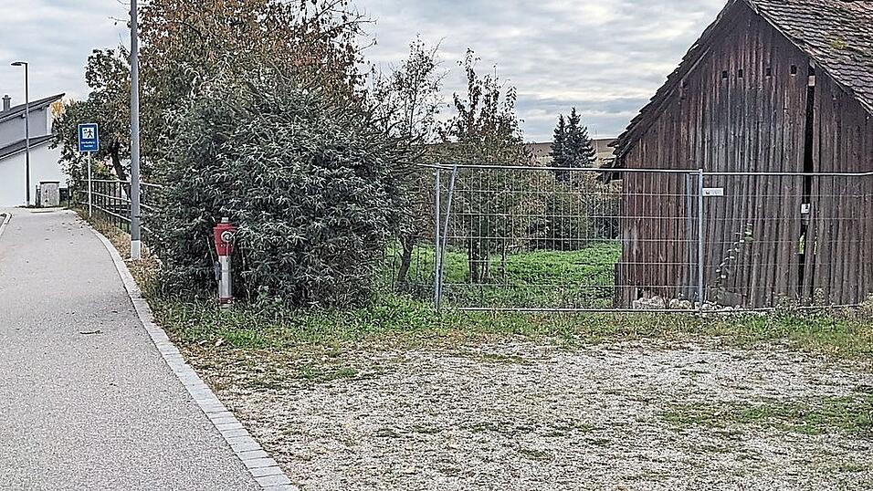 Nicht wirtschaftlich genug: Das Bauvorhaben „Riederwiese“ mit Wohn- und Geschäftshäusern wird nicht umgesetzt. Nicht wirtschaftlich genug: Das Bauvorhaben „Riederwiese“ mit Wohn- und Geschäftshäusern wird nicht umgesetzt.