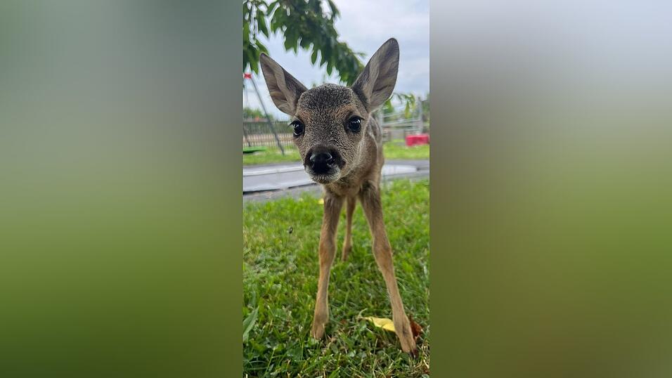 Um kein Monster zu sein, reicht oftmals schon eines: Umsicht. Um kein Monster zu sein, reicht oftmals schon eines: Umsicht.