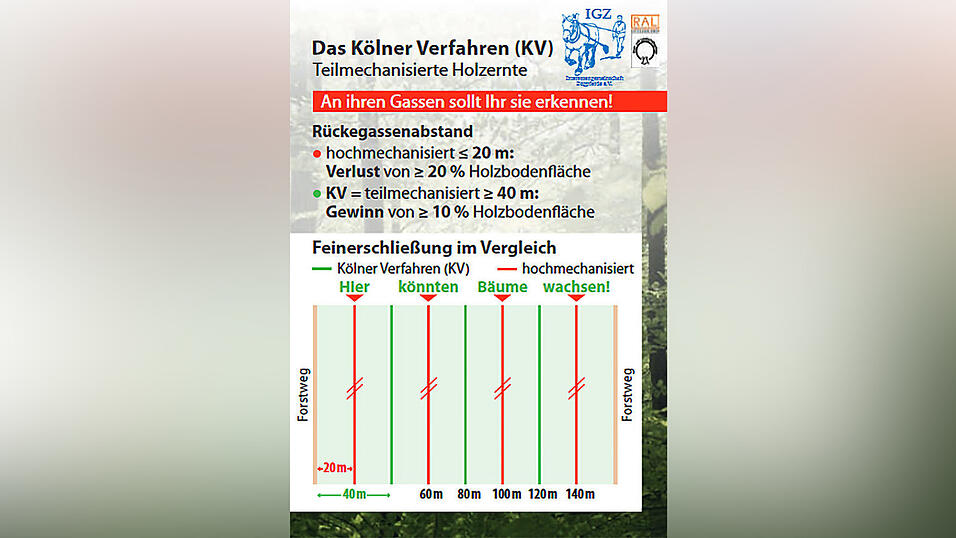 Dank Pferderückung kann der Abstand zwischen den Rückegassen vergrößert werden. Die Vorteile: Mehr fruchtbare Waldfläche und weniger Bodenbelastung. Dank Pferderückung kann der Abstand zwischen den Rückegassen vergrößert werden. Die Vorteile: Mehr fruchtbare Waldfläche und weniger Bodenbelastung.