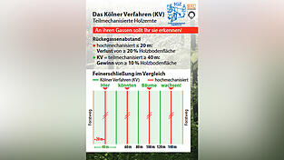 Dank Pferderückung kann der Abstand zwischen den Rückegassen vergrößert werden. Die Vorteile: Mehr fruchtbare Waldfläche und weniger Bodenbelastung.