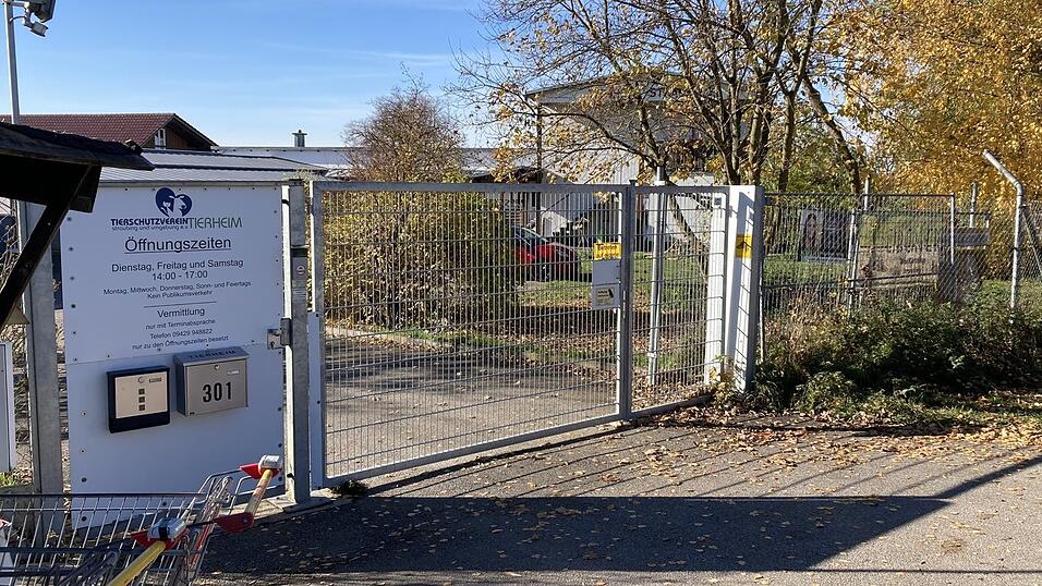 &Uuml;ber 100 Tiere &ndash;&nbsp;Katzen, Hunde und V&ouml;gel&nbsp;&ndash;&nbsp;sind aktuell im Tierheim an der Kagerser Hauptstra&szlig;e beheimatet. (Archivfoto)