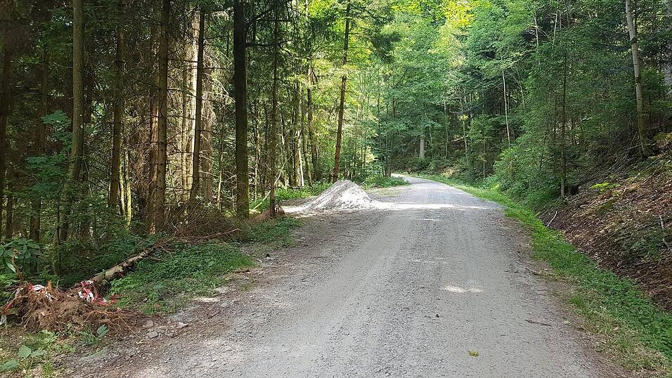 Eigentlich ist der Waldbahnradweg sehr idyllisch. Daher hofft die Gemeinde Grafling, dass sich die Verkehrssituation rund um die B11 bald wieder beruhigt und der Radweg nicht mehr von Autofahrern befahren wird. Eigentlich ist der Waldbahnradweg sehr idyllisch. Daher hofft die Gemeinde Grafling, dass sich die Verkehrssituation rund um die B11 bald wieder beruhigt und der Radweg nicht mehr von Autofahrern befahren wird.
