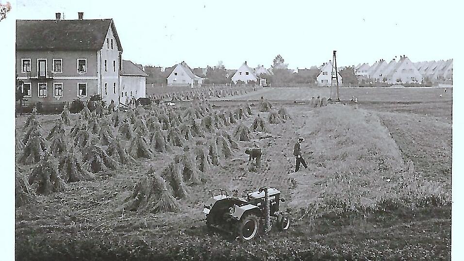 Bei den Erntearbeiten um 1965 war viel Handarbeit gefragt.