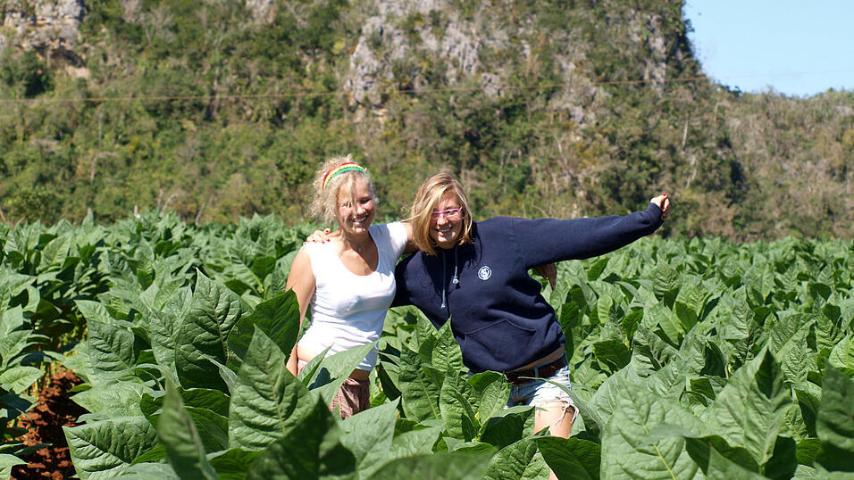 Landaufenthalt in Kuba, Februar 2010. Landaufenthalt in Kuba, Februar 2010.