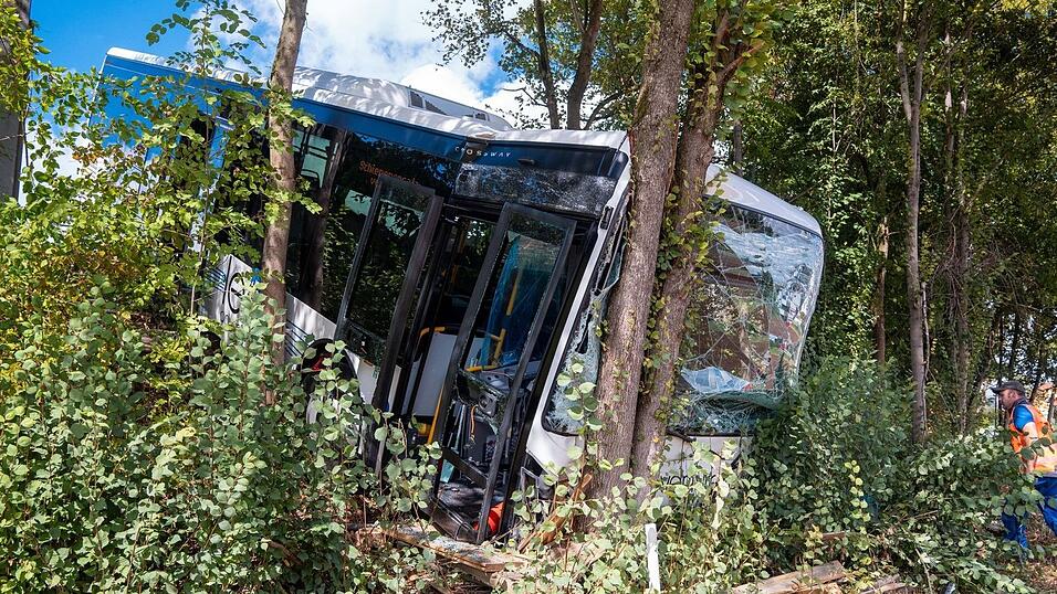 Der Bus kam nach dem Unfall erst im Gebüsch an einer steilen Böschung zum Stehen. Der Bus kam nach dem Unfall erst im Gebüsch an einer steilen Böschung zum Stehen.