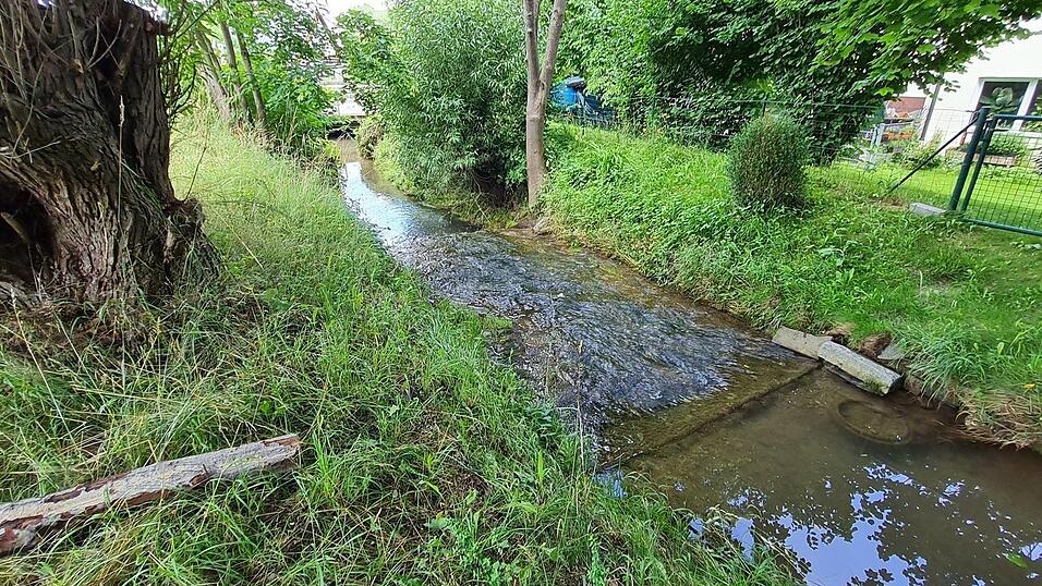 Um das Schweinbachtal vor Hochwasser zu sch&uuml;tzen, wird der Bachlauf ausgebaut. Die Ma&szlig;nahme wird zu 60 Prozent gef&ouml;rdert und ist Teil eines Gesamtkonzeptes.