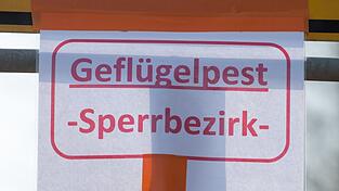 Auch bayerische Behörden warnen vor der Vogelgrippe. (Symbolbild)
