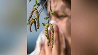 Im Frühling die Natur zu genießen, kann wunderbar entspannen - solange man nicht an Heuschnupfen leidet. Im Frühling die Natur zu genießen, kann wunderbar entspannen - solange man nicht an Heuschnupfen leidet.