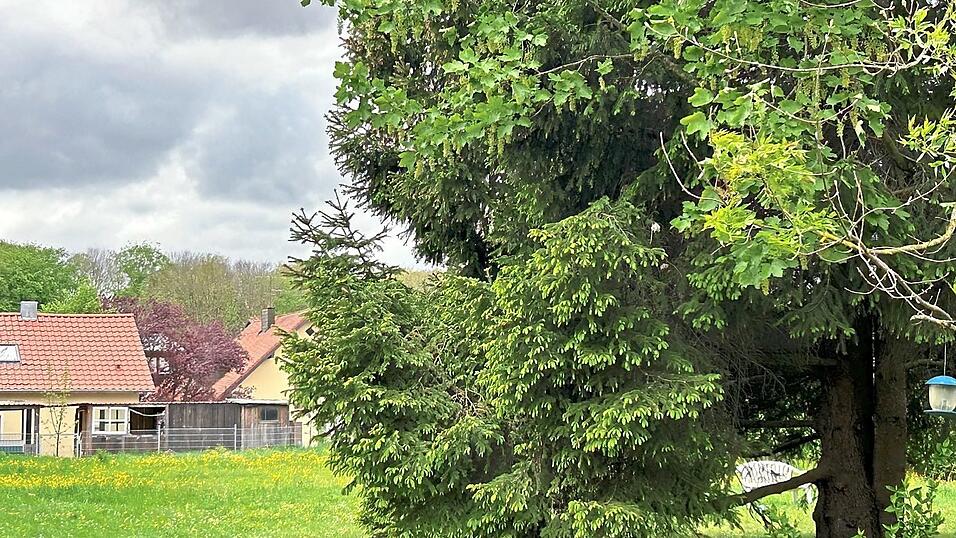 Auf dem städtischen Grund im Kirchweg will die Baugenossenschaft Vilshofen ein dreistöckiges Mehrfamilienwohnobjekt errichten. Auf dem städtischen Grund im Kirchweg will die Baugenossenschaft Vilshofen ein dreistöckiges Mehrfamilienwohnobjekt errichten.